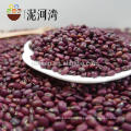 Highest quality 2012 new crop well-choosen red kidney bean on hot sale